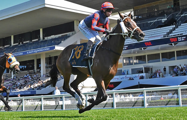 Special Sakura winning the Listed Fulton Family Stakes (1500m) at Ellerslie on Saturday. Photo: Kenton Wright (Race Images)