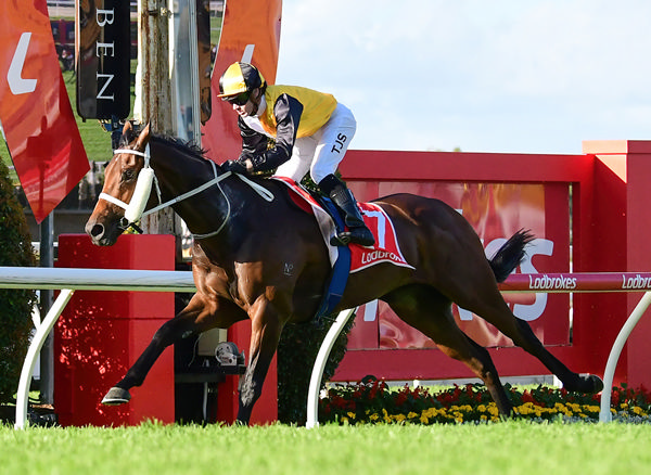 Special Swey takes out the Gr.3 Rough Habit Plate (2000m) in spectacular style Photo: Grant Peters
