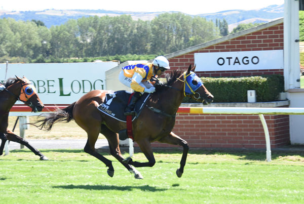 Specialty races clear to win the Nellies Bar & Restaurant Listed Dunedin Guineas (1500m) Photo Credit: Tayler Strong