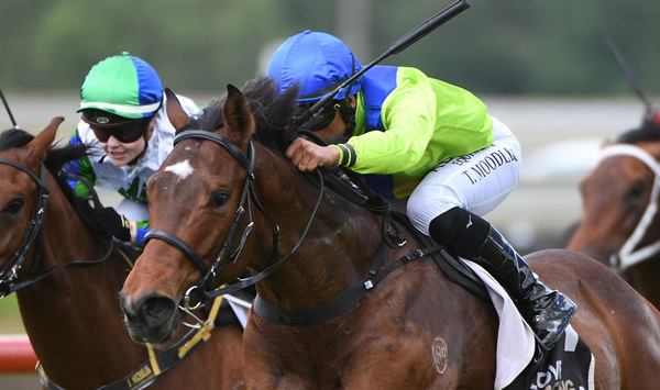 Speed Demon winning the Hallmark Stud 2YO (1100m) at Pukekohe on Saturday. Kenton Wright (Race Images)