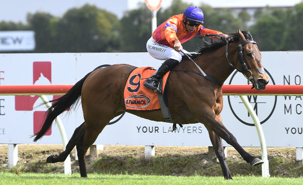 Spencer winning the Gr.3 Valley D’Vine Restaurant Spring Sprint (1400m) at Te Rapa on Saturday.  Photo: Kenton Wright (Race Images)