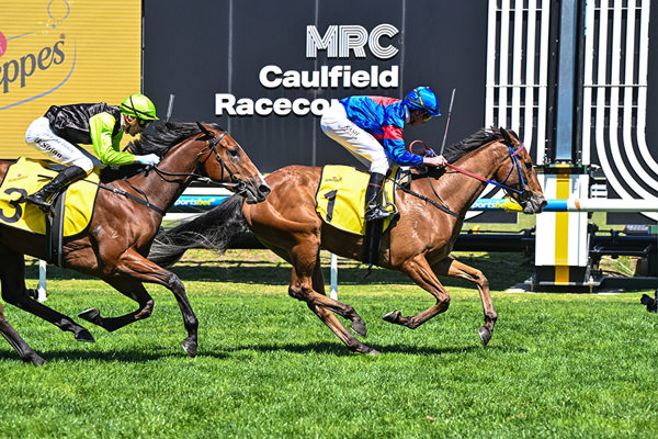 First Group Win and Second Stakes Victory For Nick Olive's Spicy Lu - Pat Scala/Racing Photos