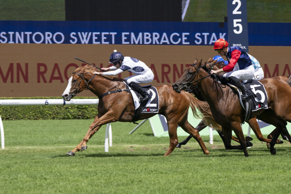 Spicy Miss wins the G2 Sweet Embrace - image Bradley Photos