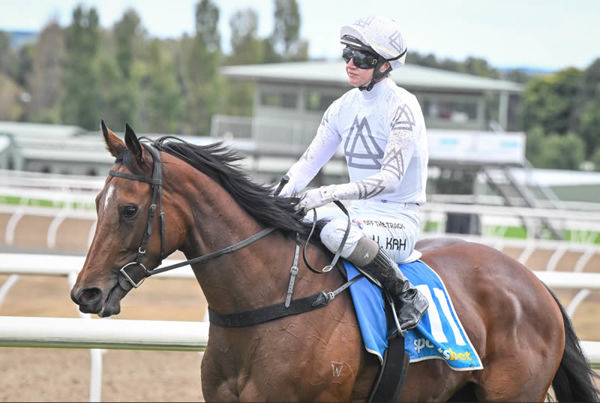 Spirit of Camelot (IRE) is now in the Peter Snowden stable - image Racing Photos