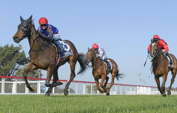 Split clears his rivals to claim Tuesday's NZB Airfreight Road To The Jericho (3200m) at Waverley.  Photo: Peter Rubery (Race Images Palmerston North)