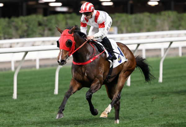 Sports Legend has now won two races in Hong Kong - image HKJC