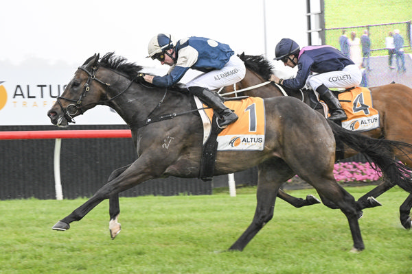 Spywire wins well at Kembla - image Bradley Photos