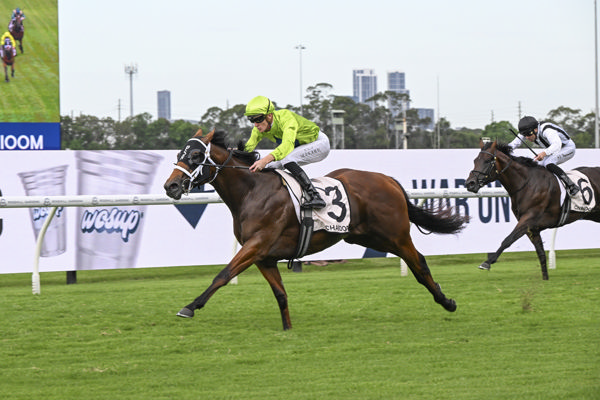 Stretan Ruler wins the G2 Silver Slipper in a breeze - image Bradley Photos