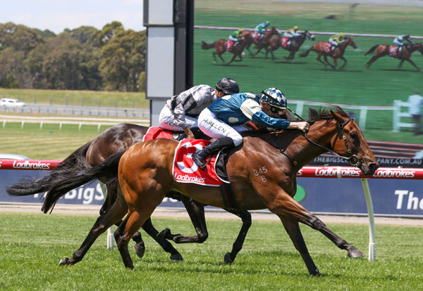 St Lawrence keeps his winning streak intact with a victory at Sandown Photo Credit: Bruno Cannatelli