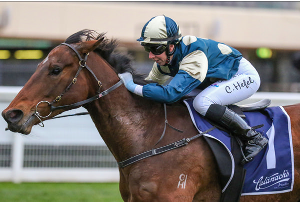 St Lawrence scores a comfortable victory at Caulfield on Saturday.  Photo: Bruno Cannatelli