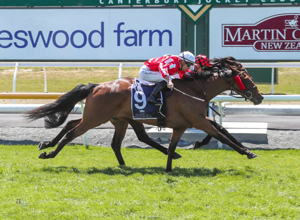 Star Ballot (outer) edges out Invincibeel to claim victory at Riccarton Photo: Race Images South