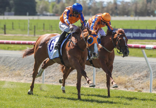 Star Of Justice winning at Ashburton on Monday. Photo: Race Images South