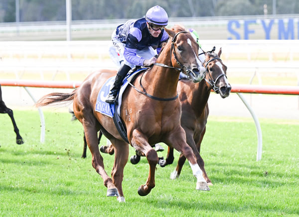 Star Trip gets the cash on debut - image Pat Scala/ Racing Photos