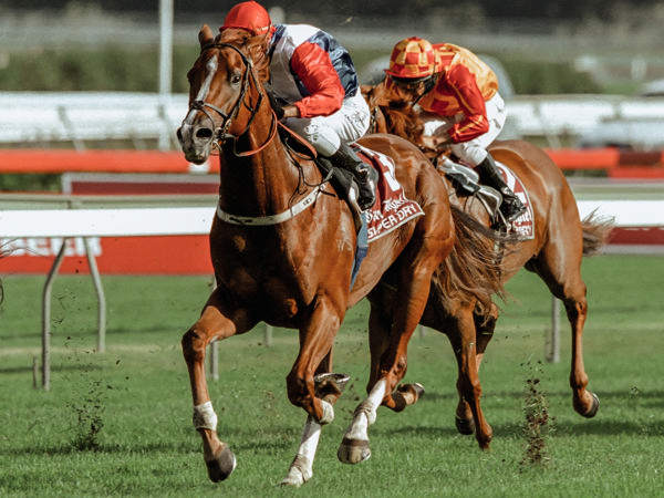 Starcraft was a five time G1 winner and is also sire of the dam of Lady Shenandoah.