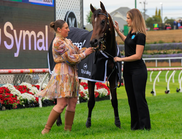 Stardom is now a two time stakes-winner - image Grant Courtney