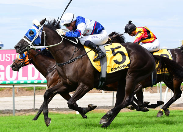 Stardome defeats Soprano Supreme in the XXXX Gold Coast Cup (2400m) Photo Credit: Grant Peters Trackside Photography