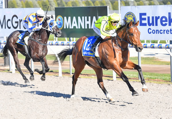 Starfleet Command wins at Ballarat - image Pat Scala / Racing Photos
