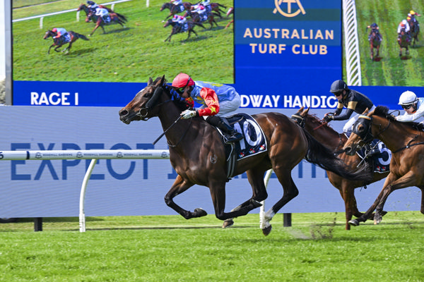 Starphistocated salutes at Rosehill - image Bradley Photography