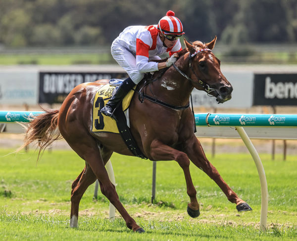 Unbeaten Zoustar colt Starry Legend is a rising star for the Bon Ho stable . 