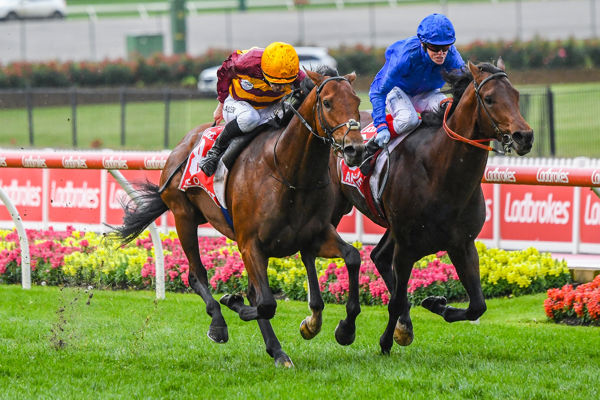 State of Rest runs down the mighty Anamoe to win the Cox Plate - image Grant Courtney