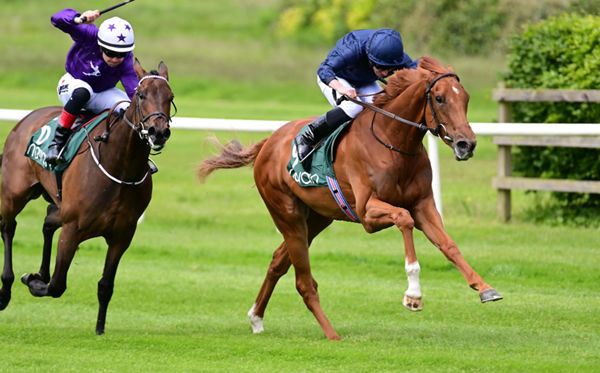 Statuette wins impressively on debut - image Coolmore