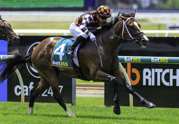 Blue Diamond contender Stay Focused has upped the ante for Cosmic Force - image Grant Courtney
