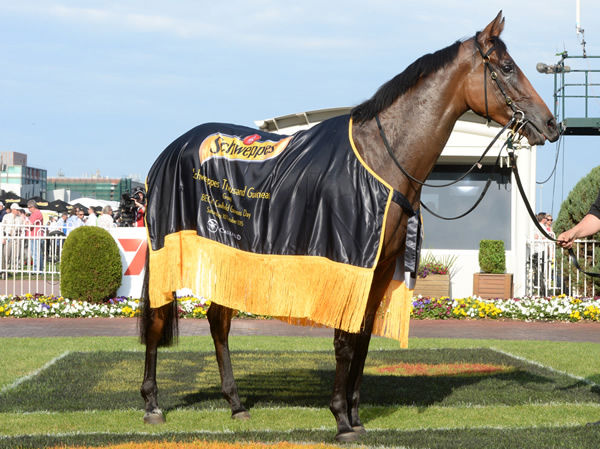 Stay With Me won the G1 Thousand Guineas in 2015 - image Grant Courtney 