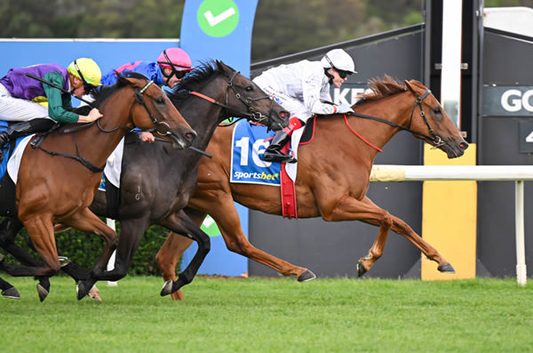 Stealth of Night (IRE) wins at Sandown - image Pat Scala / Racing Photos