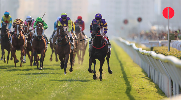 Stellar Express (FR) wins the G3 Bauihinia Sprint - image HKJC 