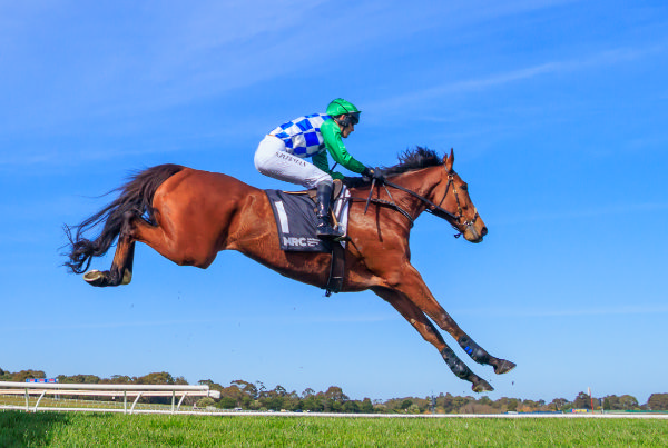 It's just Stern Idol (IRE) and sky at Sandown - image Grant Courtney