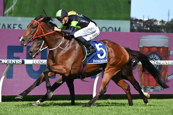 Stockman wins the G3 Sky High Stakes - image Steve Hart