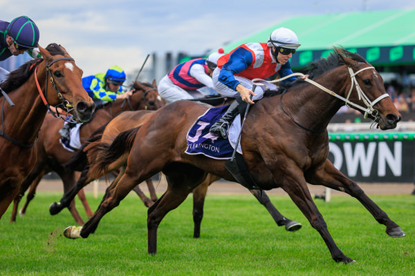 Stokke wins her first stakes race at Flemington - image Grant Courtney