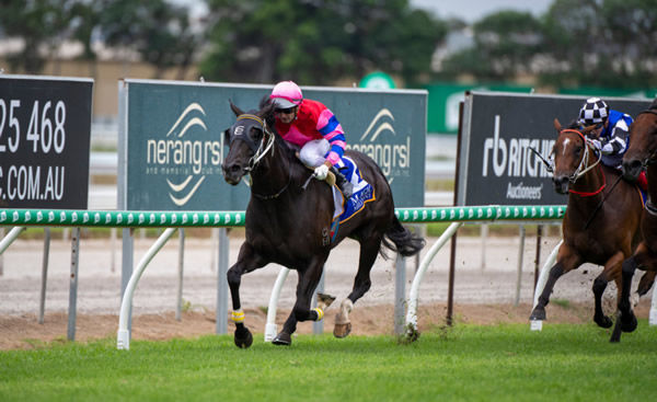 Stolen Jade made it four wins on the trot! - image Racing Queensland.