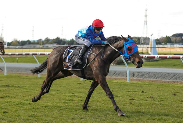 Stolen Magic winning at Ascot Park on Friday.  Photo: Monica Toretto