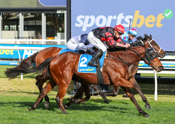 Stop The Rock, ridden by Billy Egan, scores an impressive win at Caulfield. Photo: Bruno Cannatelli