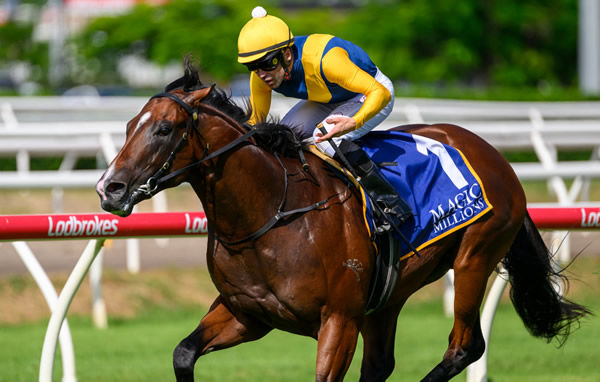 Storm Boy wins the G3 BJ McLachlan Stakes - image Michael McInally Magic Millions