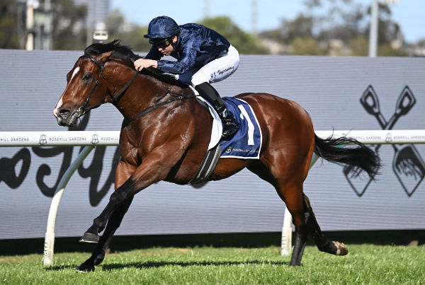 Storm Boy dominant in G3 San Domenico - image Steve Hart