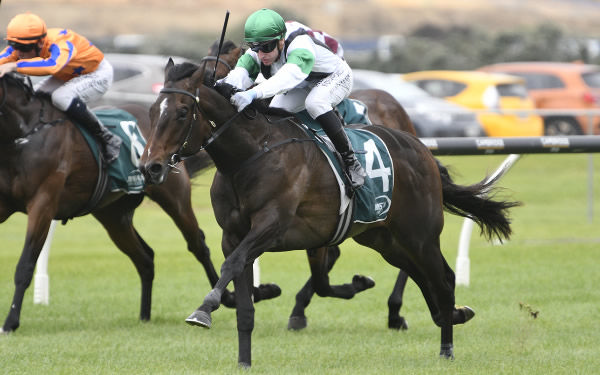 Storm Front is on top of the Karaka Million order of entry . 