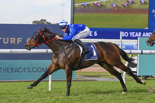 Storm the Ramparts wins at Rosehill last Saturday - image Bradley Photography