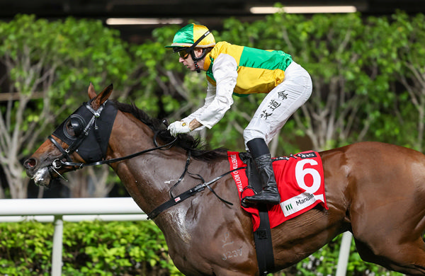 Storming Dragon wins at Happy Valley - image HKJC 