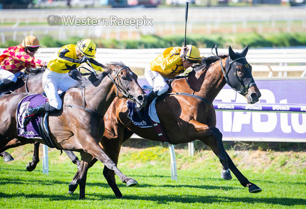 Storyville wins the Listed WATC Starstruck Classic - image Western Racepix