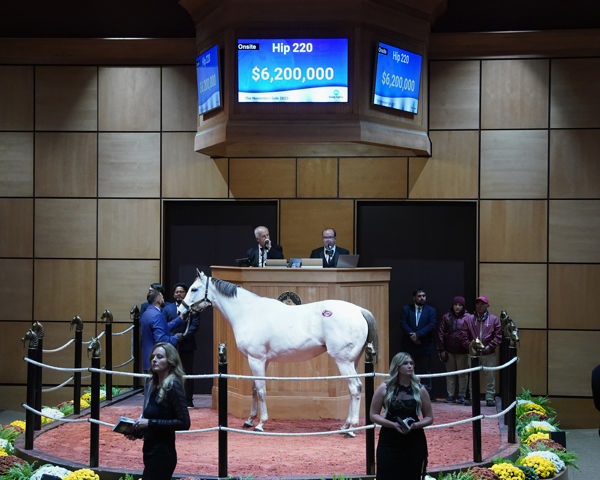 Streak of Luck topped the sale at $6.2million.