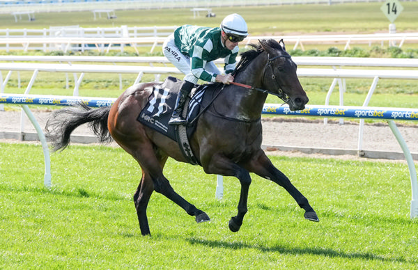 Street Artist and Mark Zahra cruise to victory at Mornington  Photo: George Sal/Racing Photos