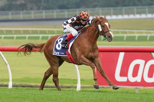 No catching Street Delight (image Scott Barbour/Racing photos)