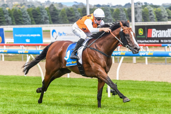 Stromboli at full stretch (image Brett Holburt/Racing Photos)