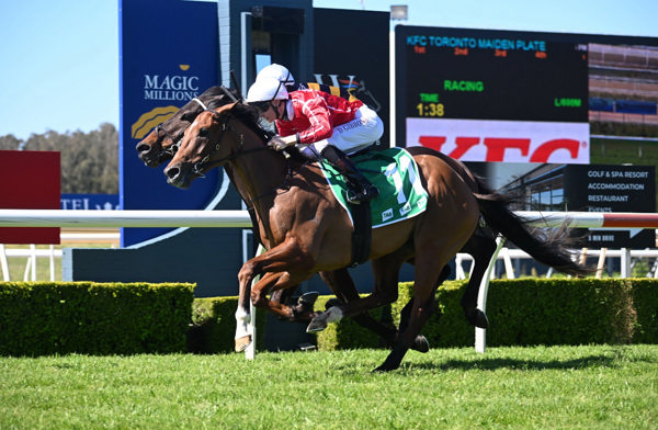 Strongside opens his account at Wyong - image Steve Hart 