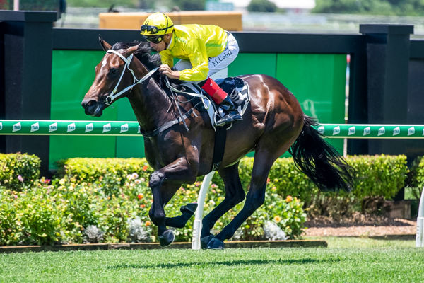 Subterranean runs in the G3 Ming Dynasty this weekend - image Steve Hart.