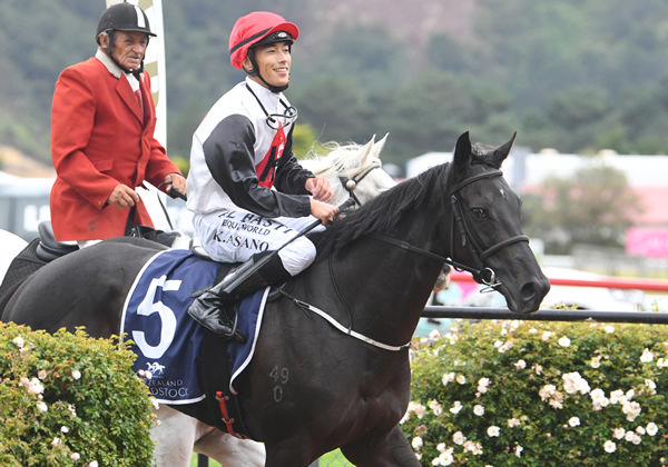 Sudbina and Kozzi Asano return to scale after winning the Gr.3 New Zealand Bloodstock Desert Gold Stakes (1600m) at Trentham on Saturday. Photo: Peter Rubery (Race Images Palmerston North)