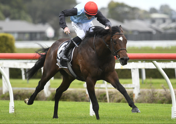 Suit Yourself winning at Te Rapa on Friday.  Photo: Kenton Wright (Race Images)