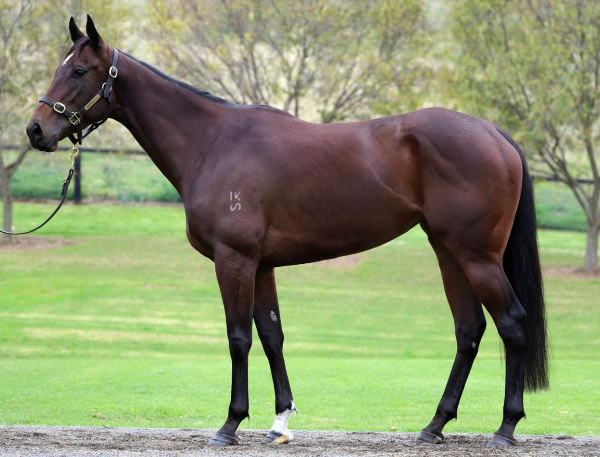 Summer Loving sold for $370,000.